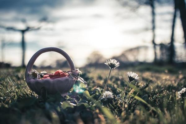 大驿土命女孩缺木,如何找到人生的方向与平衡? 大驿土命女孩缺木,如何找到人生的方向与平衡?