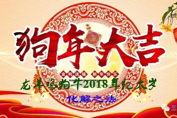 火狗年:热情与忠诚并存的生肖魅力 火狗年:热情与忠诚并存的生肖魅力