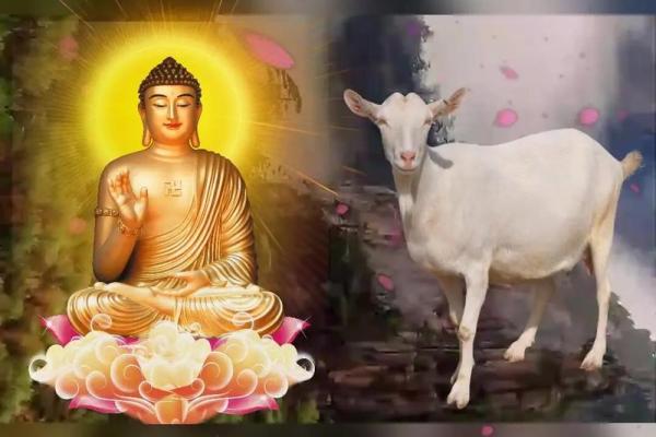 1991年属羊:羊年命运与性格分析 1991年属羊:羊年命运与性格分析