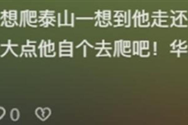 嘴硬命硬,生活中的另一种坚韧与智慧 嘴硬命硬,生活中的另一种坚韧与智慧