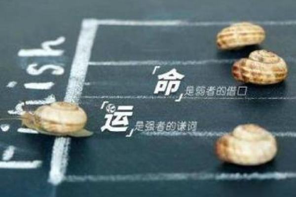 深度解读属狗人的八字命理:命运的秘密与人生智慧 深度解读属狗人的八字命理:命运的秘密与人生智慧