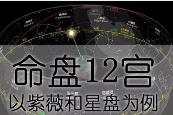 紫薇命盘与创业:如何借助命理智慧实现事业成功? 紫薇命盘与创业:如何借助命理智慧实现事业成功?