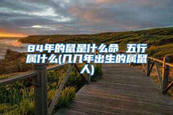 什么命什么年:探索成语背后的智慧与魅力 什么命什么年:探索成语背后的智慧与魅力