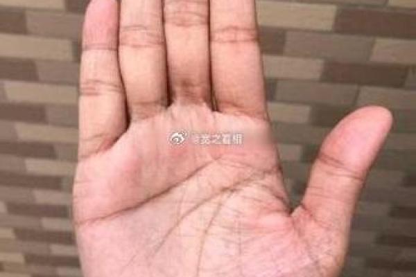 食指旋纹的奥秘:解读命运与性格的微妙联系 食指旋纹的奥秘:解读命运与性格的微妙联系