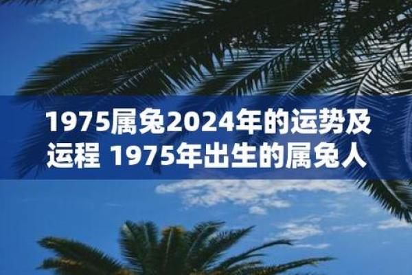 56岁属兔者的命运解析与生活智慧分享 56岁属兔者的命运解析与生活智慧分享