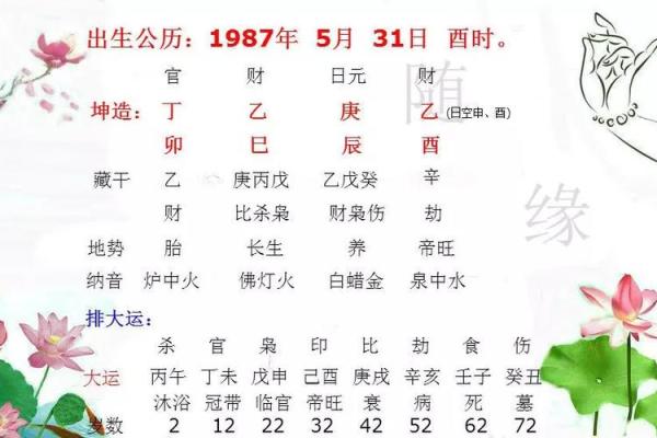 九月出生的狗:火命的生肖特征与命运解析 九月出生的狗:火命的生肖特征与命运解析