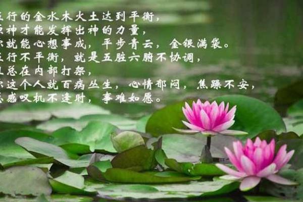 水命人的植物选择:养生与风水双丰收的秘密 水命人的植物选择:养生与风水双丰收的秘密