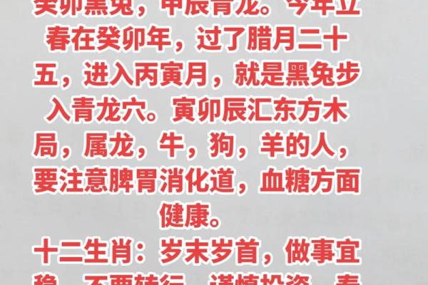 2023年,兔年运势大解析:探秘兔年的命理与生活智慧 2023年,兔年运势大解析:探秘兔年的命理与生活智慧