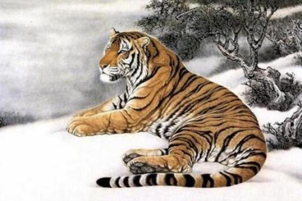 虎年出生的36岁命运解析:探寻其中的奥秘与机遇 虎年出生的36岁命运解析:探寻其中的奥秘与机遇