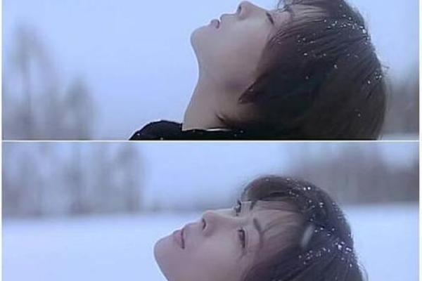 1953年12月的冬季奇迹:记忆中深刻的故事与情感 1953年12月的冬季奇迹:记忆中深刻的故事与情感