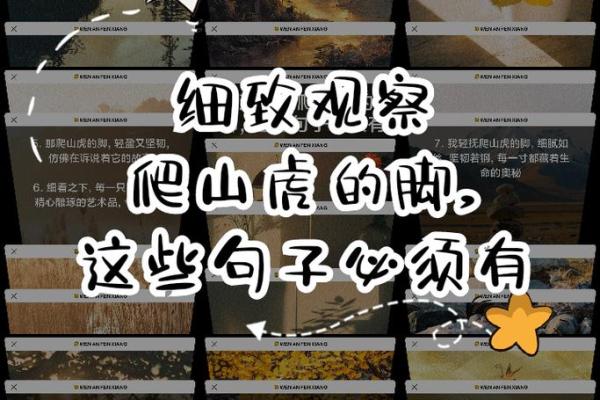 探寻强硬命格的奥秘:如何解读命理中的坚韧与力量 探寻强硬命格的奥秘:如何解读命理中的坚韧与力量