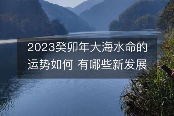 大海水命人的协会与生俱来的特质,如何利用他们的优势? 大海水命人的协会与生俱来的特质,如何利用他们的优势?