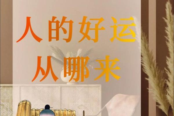 男火猴命:如何为他命名并带来好运的智慧 男火猴命:如何为他命名并带来好运的智慧