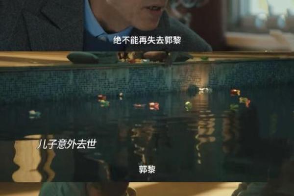 没有儿子命的人:一段关于人生选择与命运的思考 没有儿子命的人:一段关于人生选择与命运的思考