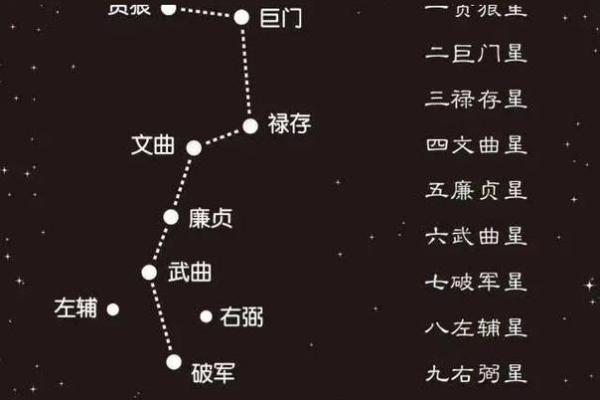 女命没儿子,男命有儿子:命理的深层寓意与人生选择 女命没儿子,男命有儿子:命理的深层寓意与人生选择