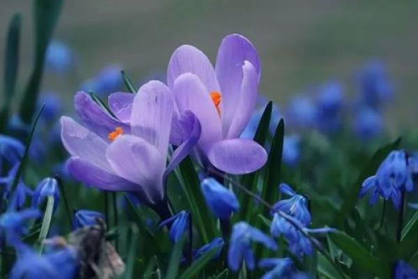 看命之道:如何通过颜色提升运势与幸福感 看命之道:如何通过颜色提升运势与幸福感