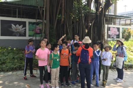 探秘命水生输的深刻含义与生活启示