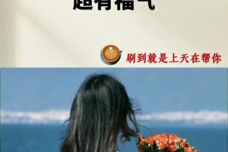 天庭饱满的人，命运之路的秘密与启示