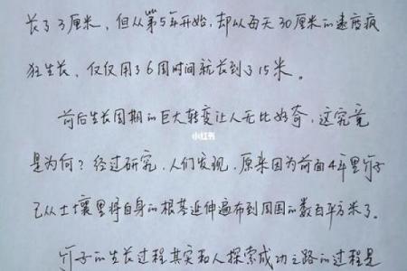 1965年出生的人命运与性格解析：探索不平凡的一生