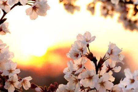 根据生日号码解析命格，揭示你独特的人生旅程