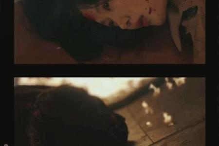 女儿克父亲的命运解析：宿命与缘分的交织