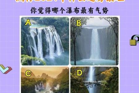 2024龙年运势：探索木命之道，开启富贵人生新篇章！