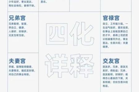 探秘命理学中的宫位：揭秘人生各阶段的隐藏意义与影响
