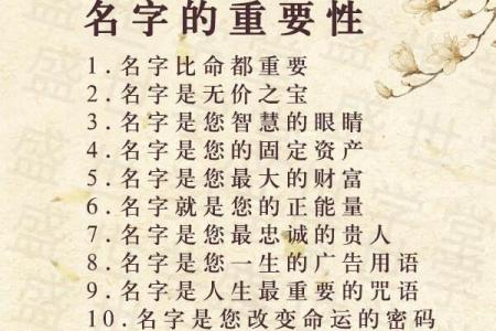 2001年出生的人命运探秘：解码他们的人生旅程与未来可能性