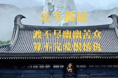 命不薄，缘随天意：探索人生的深意与哲学思考