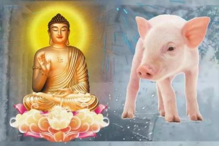 1995年属猪的命运解析：开启幸福人生的财富之路