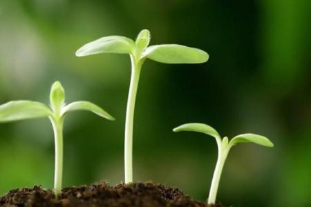 解析女命四个食伤命运与性格特征的深刻内涵