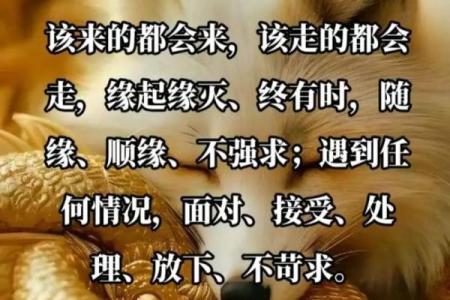 命好的人有哪些独特特征？揭秘他们的成功秘诀！