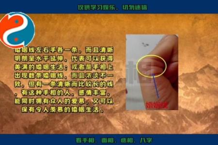 揭秘多情命：女人手相中的情感密语