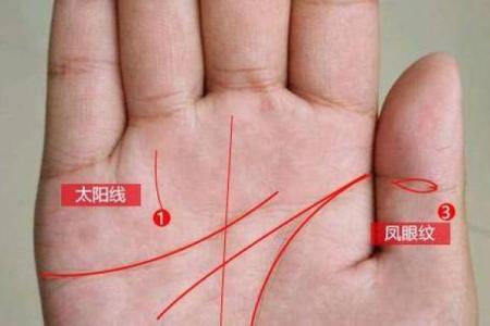 谦谦君子与手相命理：解读你的未来与命运