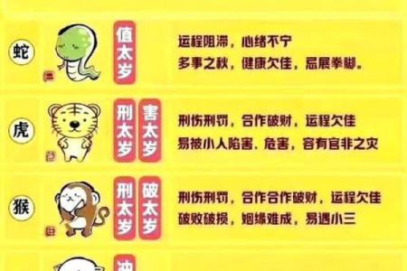属猪的腊月十五出生者，命运如何？解密与指引！