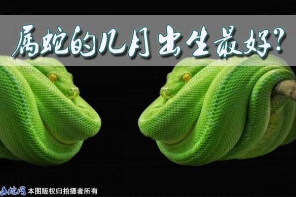 真正的蛇命:探索1953年出生者的命运与人生旅程 真正的蛇命:探索1953年出生者的命运与人生旅程