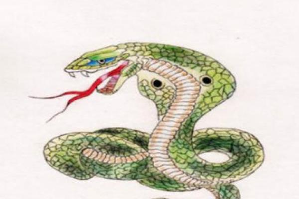 真正的蛇命:探索1953年出生者的命运与人生旅程 真正的蛇命:探索1953年出生者的命运与人生旅程