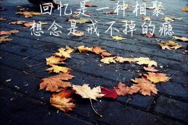 女人痴情与命格的关联:揭示背后的深意与情感逻辑 女人痴情与命格的关联:揭示背后的深意与情感逻辑