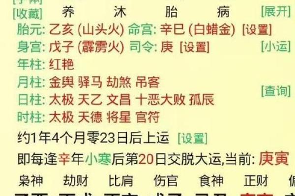 深入探讨甲亥丁亥命格的独特魅力与人生轨迹 深入探讨甲亥丁亥命格的独特魅力与人生轨迹