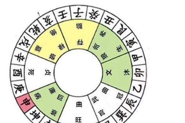 深入探讨甲亥丁亥命格的独特魅力与人生轨迹 深入探讨甲亥丁亥命格的独特魅力与人生轨迹