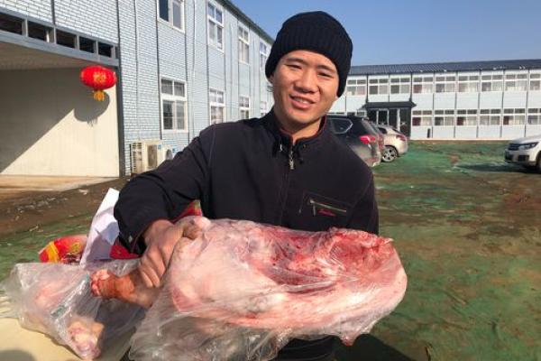 在温情中绽放:电影《猪命》传达的深刻启示 在温情中绽放:电影《猪命》传达的深刻启示