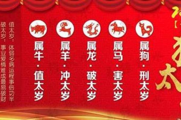 2006年属狗男孩的命运特点与人生指导 2006年属狗男孩的命运特点与人生指导