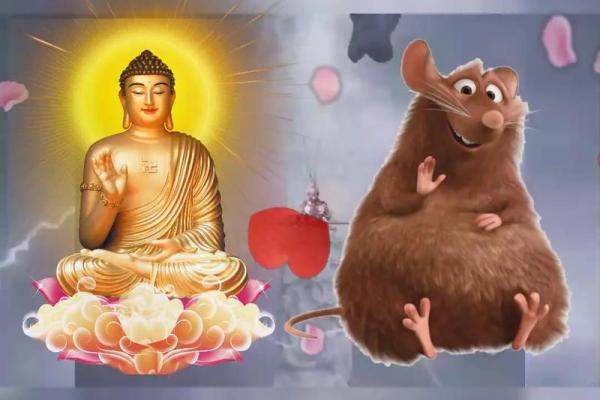 属鼠2020年命运剖析:揭示你的优点与挑战 属鼠2020年命运剖析:揭示你的优点与挑战