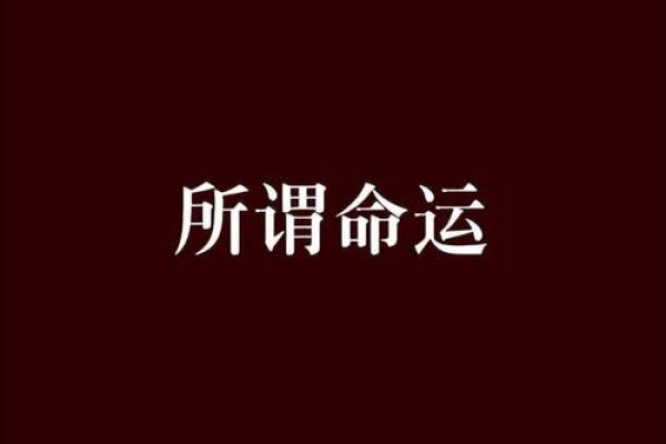 命运与选择:85年冬月18日出生者的生活哲学 命运与选择:85年冬月18日出生者的生活哲学