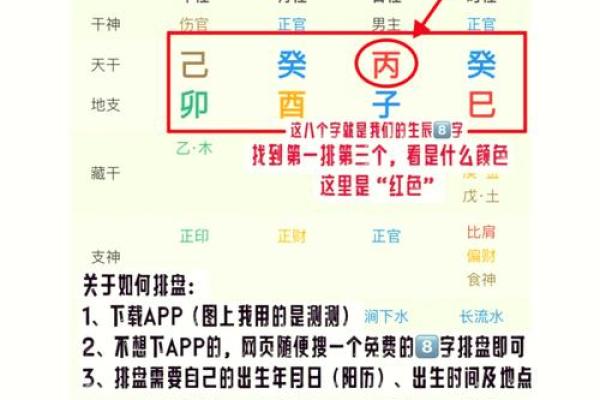 专用食神命理:探索饮食与命运的奥秘 专用食神命理:探索饮食与命运的奥秘