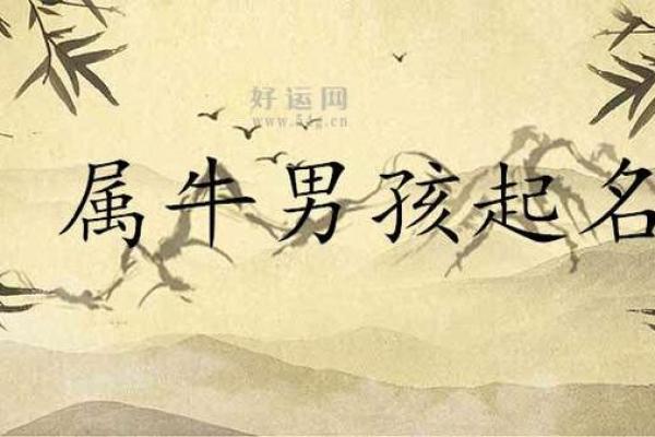 解析蛇年巳时出生男孩的命理与未来发展 解析蛇年巳时出生男孩的命理与未来发展