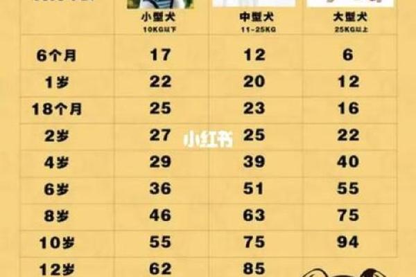 属狗虎夜行:探寻命运的奥秘与启示 属狗虎夜行:探寻命运的奥秘与启示