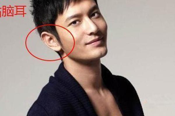 耳朵上段尖的人命运解析:从外形看内在的智慧与挑战 耳朵上段尖的人命运解析:从外形看内在的智慧与挑战