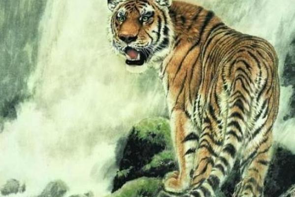 城墙土命属虎女，最佳伴侣与命理解析