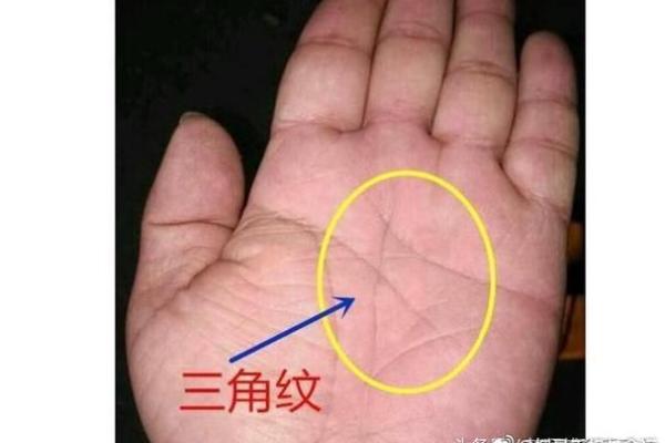 揭秘大富大贵手相:掌握命运的秘诀与财富的象征 揭秘大富大贵手相:掌握命运的秘诀与财富的象征